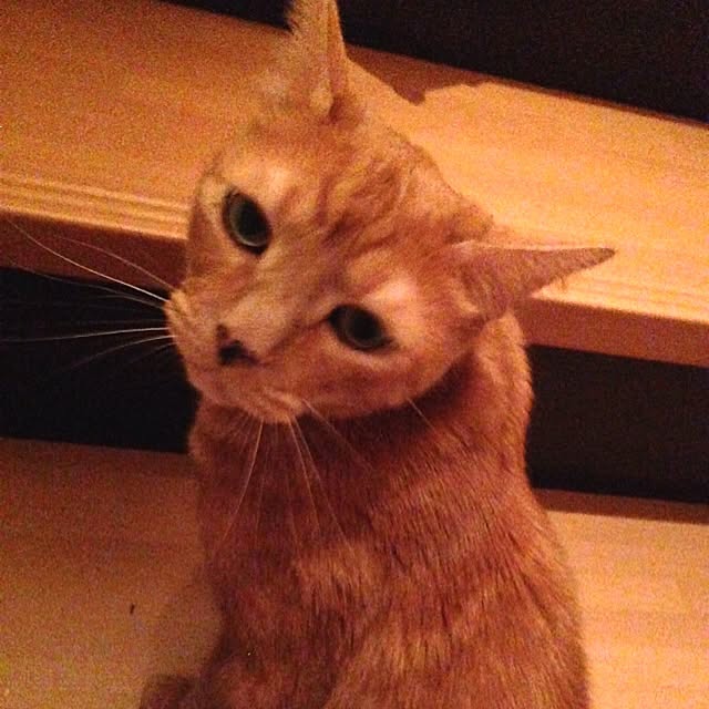 yukiさんの実例写真