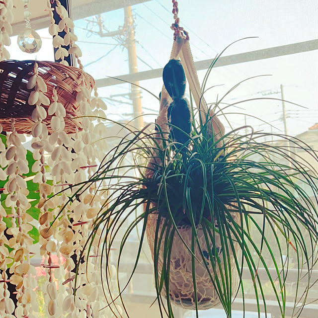 Malamaさんの実例写真