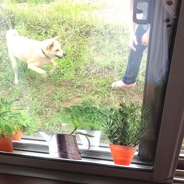 mugiinaさんの実例写真
