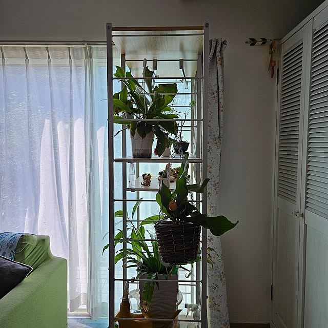 mayumiさんの部屋