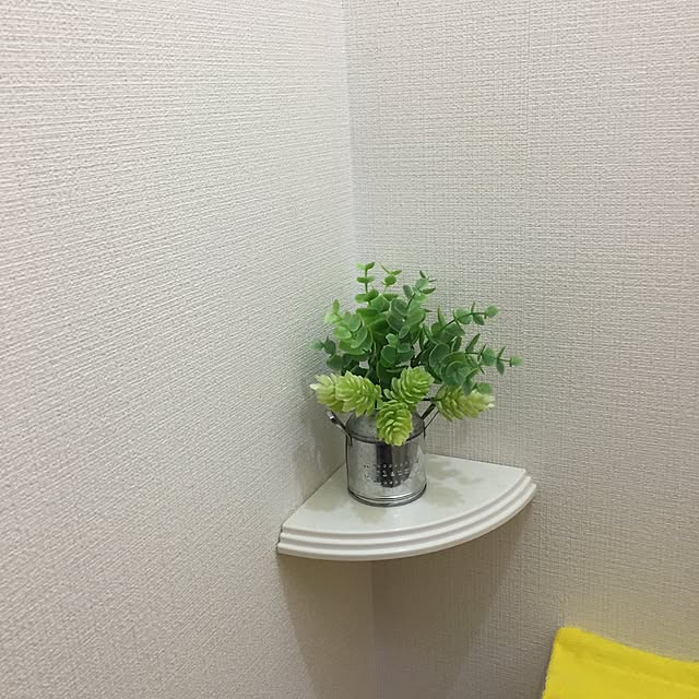 mikuさんの実例写真