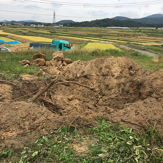 yamさんの実例写真