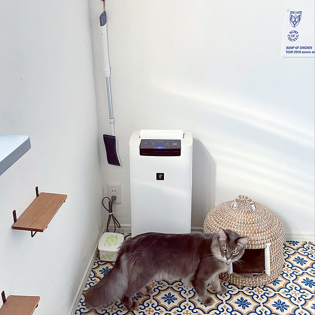 paradise_viewさんの実例写真
