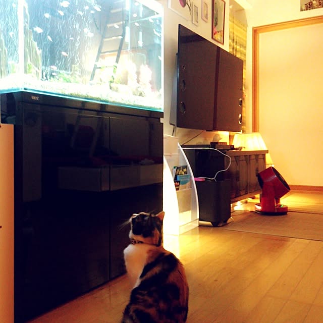 RIONさんの実例写真