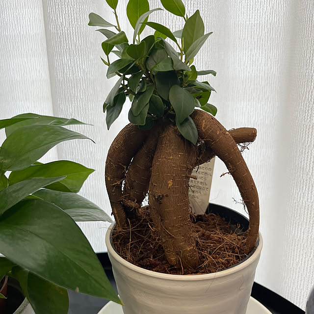 tomokokoさんの部屋