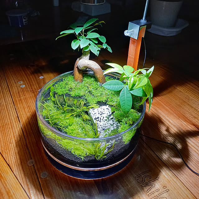 リビング/アクアリウム初心者/旦那さんDIY/ハンドメイド/レジン初心者...などのインテリア実例 - 2022-03-11 23:42:45