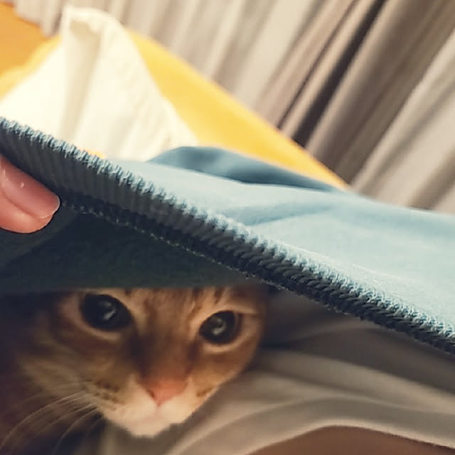 C.Tさんの実例写真