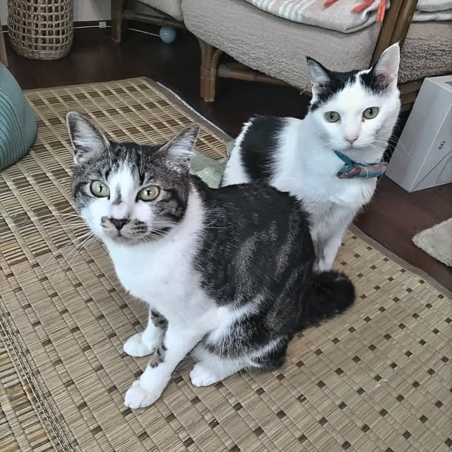 yuuさんの実例写真