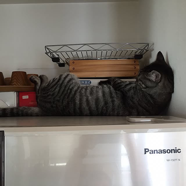 sasugaさんの実例写真