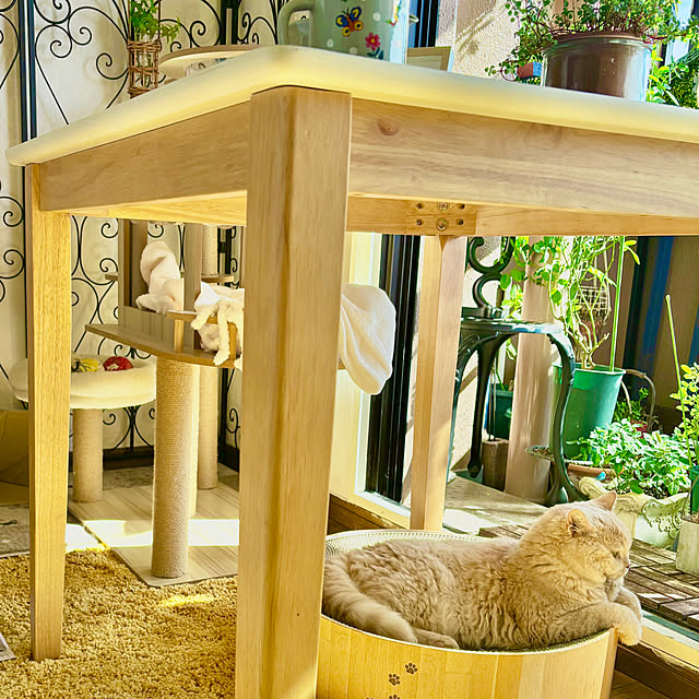 naokoさんの部屋