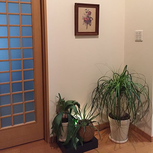 tsuyopipさんの実例写真