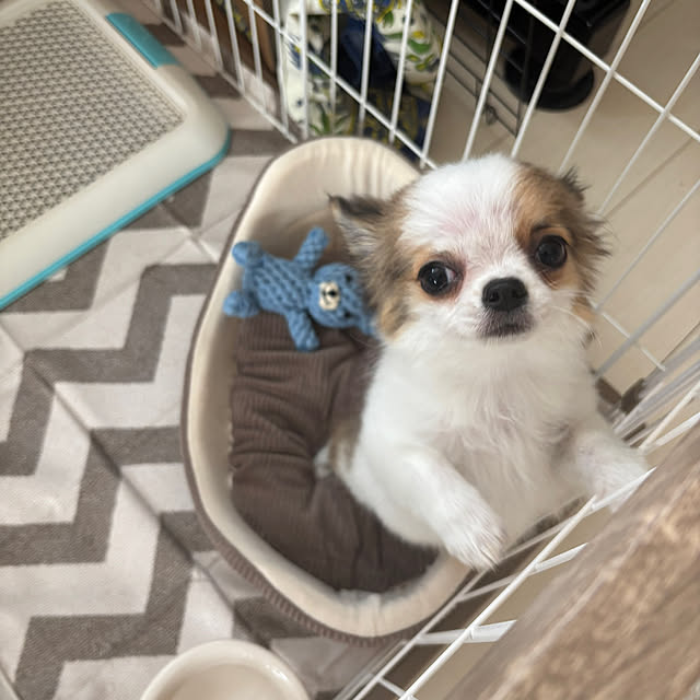 haruharu3さんの実例写真