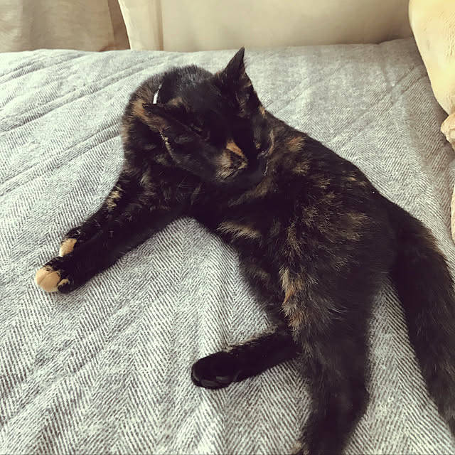 mさんの実例写真