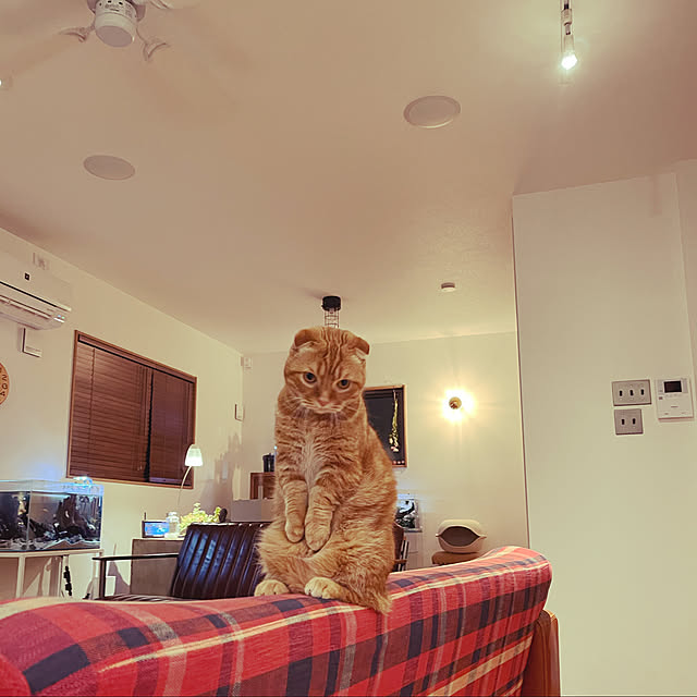 KJmaedaさんの実例写真