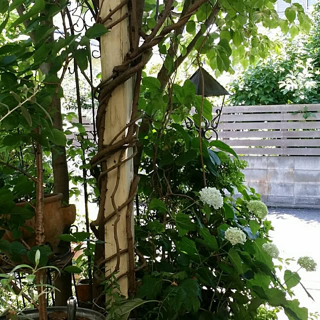 BlueBeeさんの実例写真