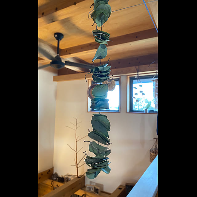 kozakura10さんの実例写真