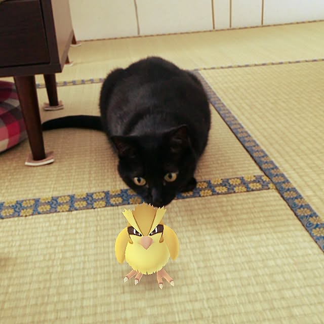 NTさんの実例写真