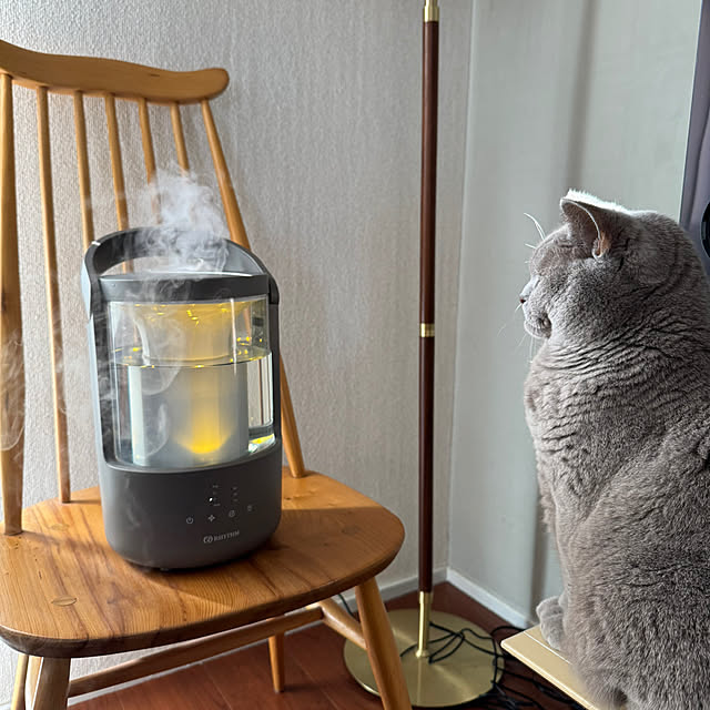 chulashihoさんの実例写真