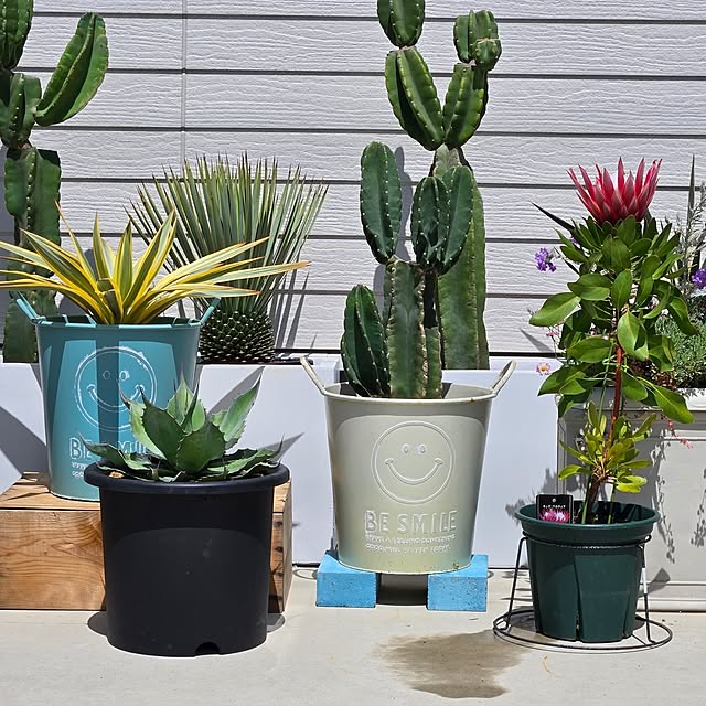 nonbiri_house_さんの実例写真