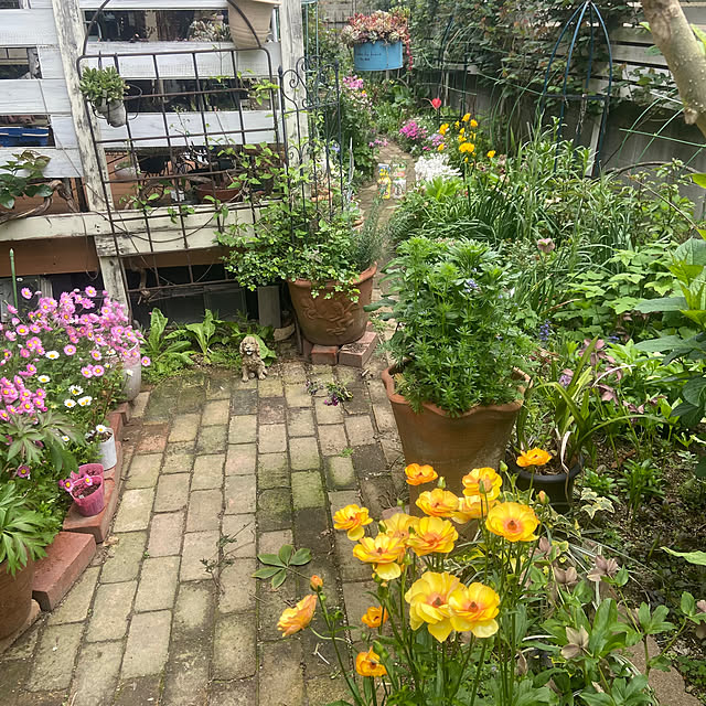 na-chanさんの部屋