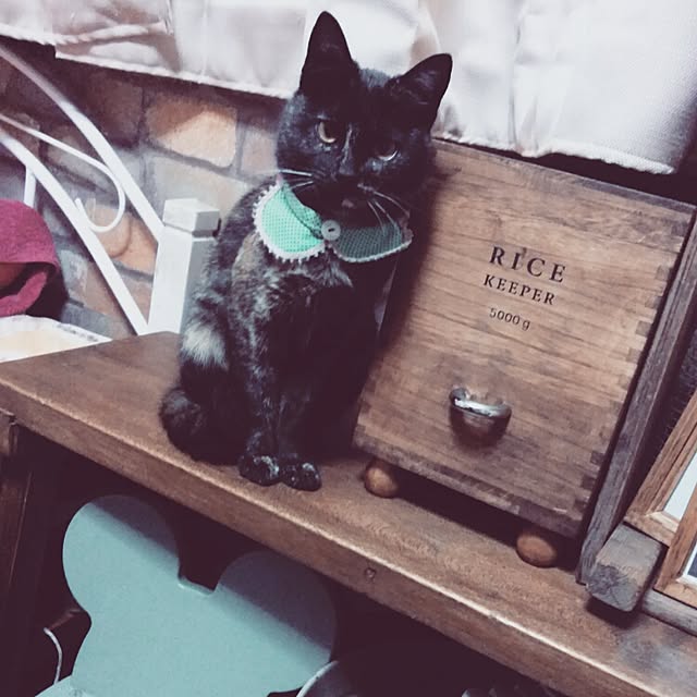 Ryoさんの実例写真