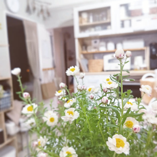 cloverさんの実例写真