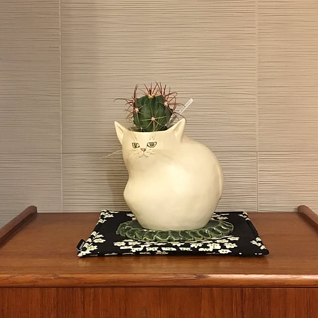 mimiさんの実例写真