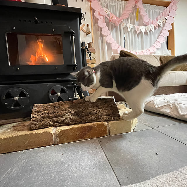 nekosamaさんの実例写真
