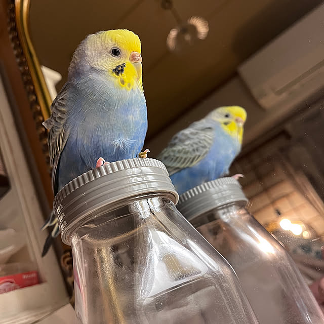 Atsukoさんの部屋