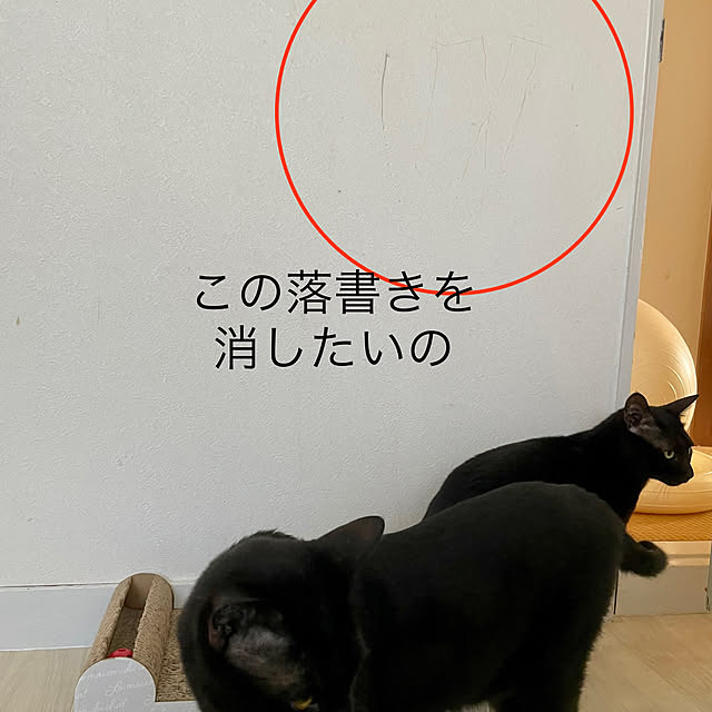 midoさんの実例写真