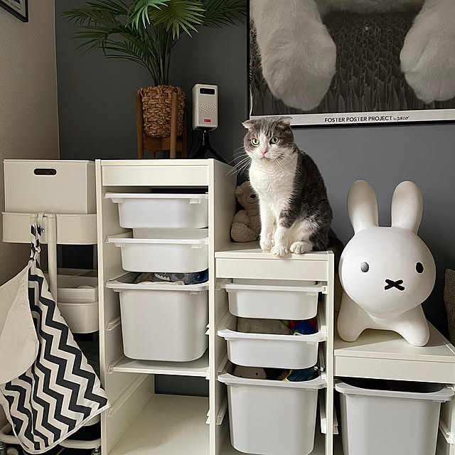 tansukeさんの部屋