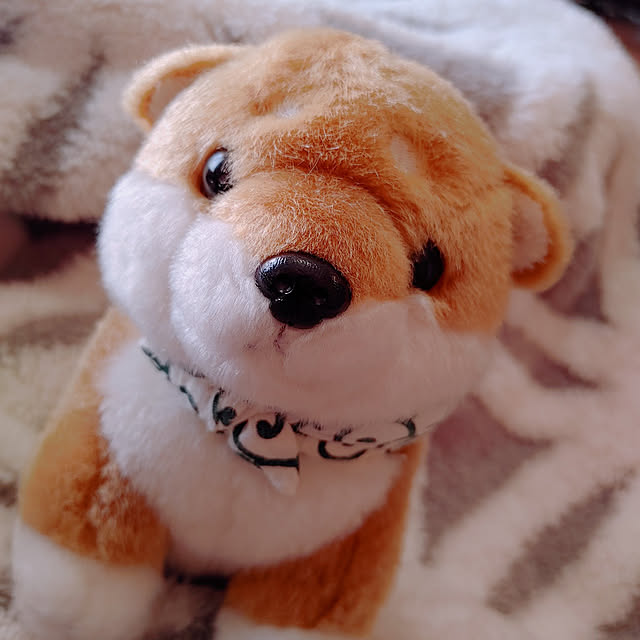 aureaさんの実例写真