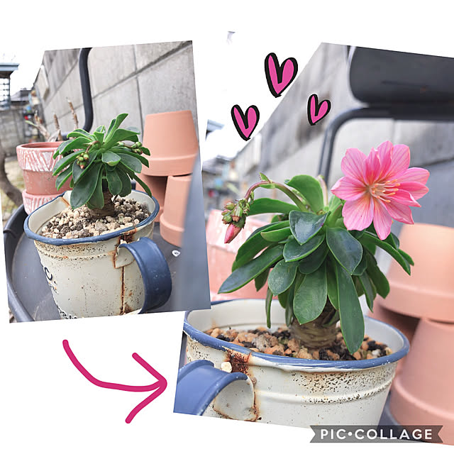 craneさんの実例写真