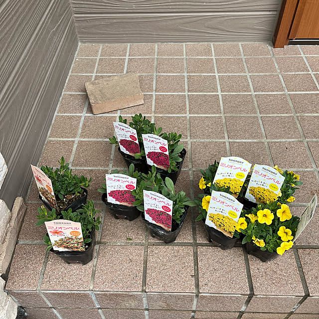 mogumoguさんの部屋