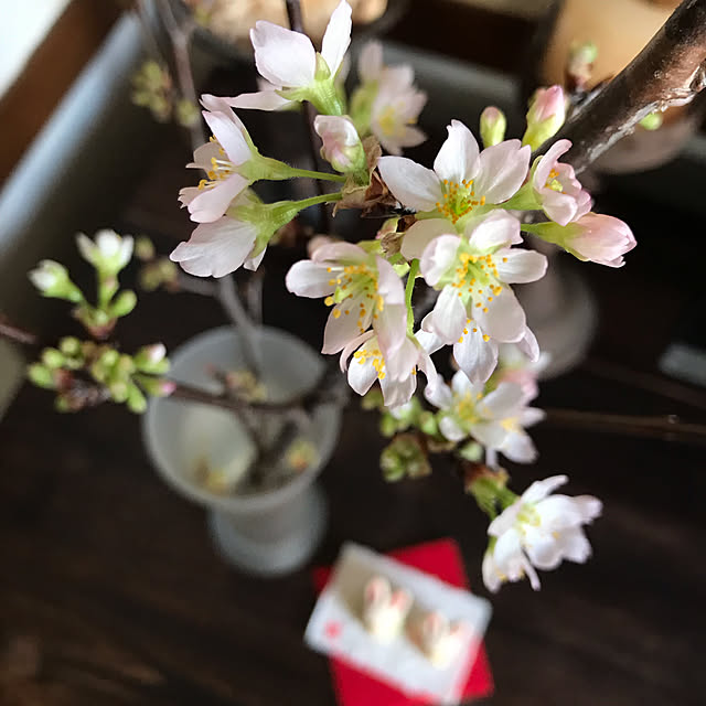 Nagakoさんの実例写真