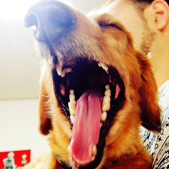 pepeさんの実例写真