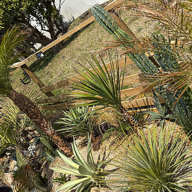 bonber0212さんの実例写真