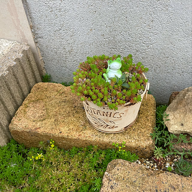 pekoさんの実例写真