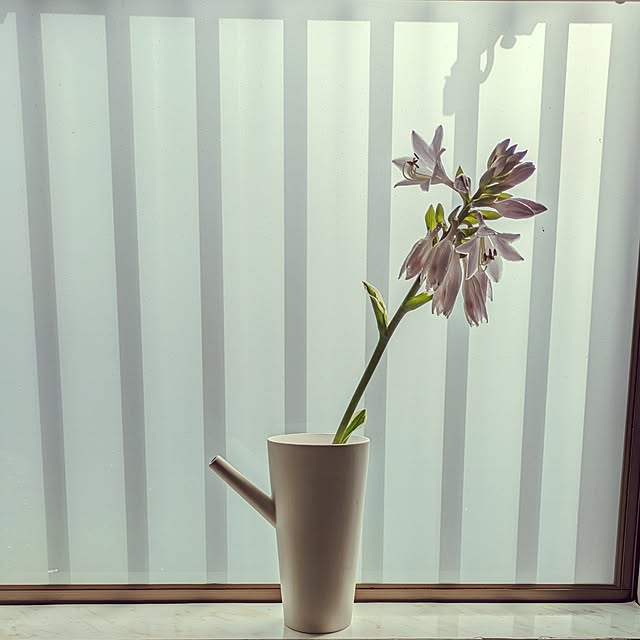 Renさんの実例写真