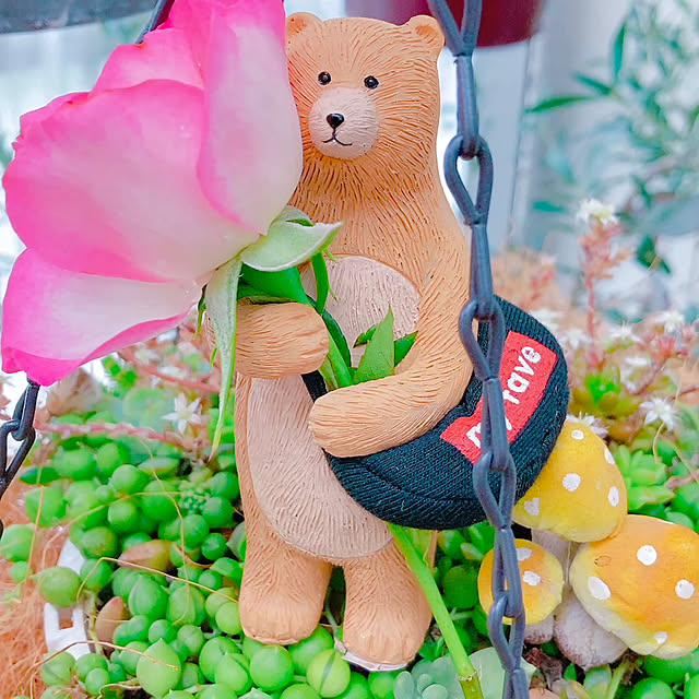 Hanakaさんの実例写真