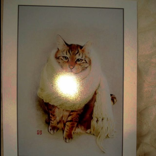 sannbonnnonamiさんの実例写真