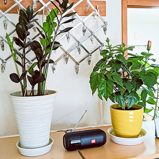 hanachanさんの部屋