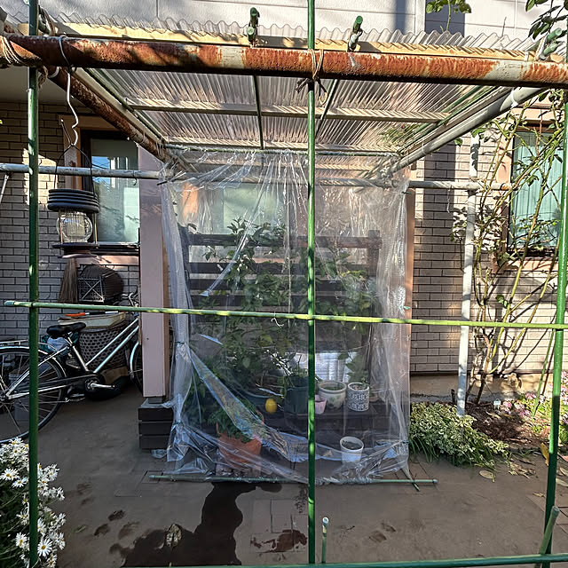 botanさんの部屋