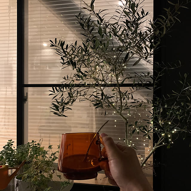 Minteaさんの部屋