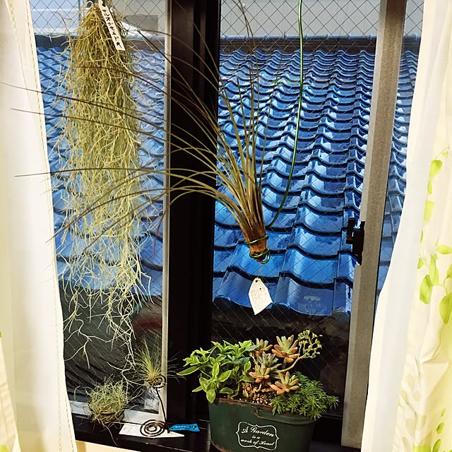 ymtakekoさんの実例写真