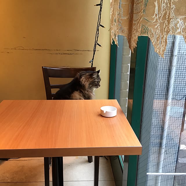 mikomaruさんの実例写真