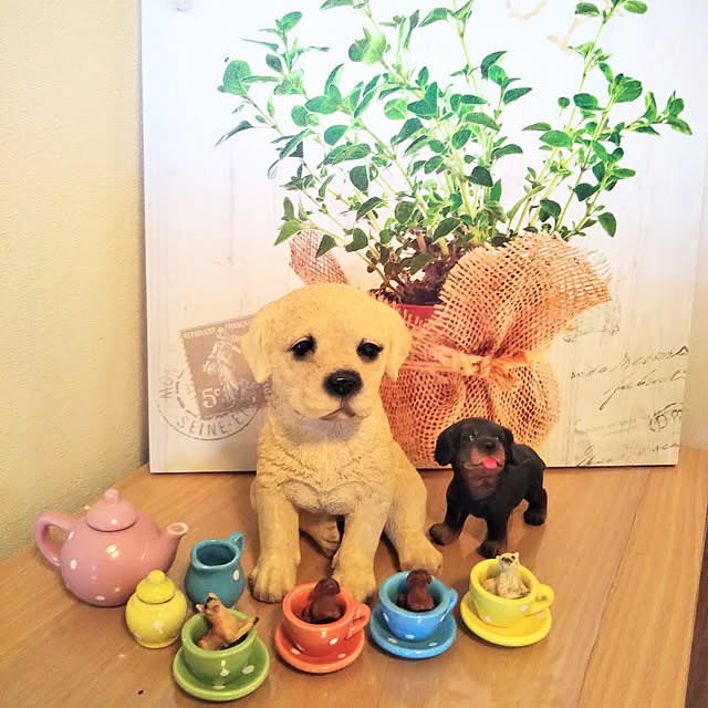 Tirorinさんの実例写真