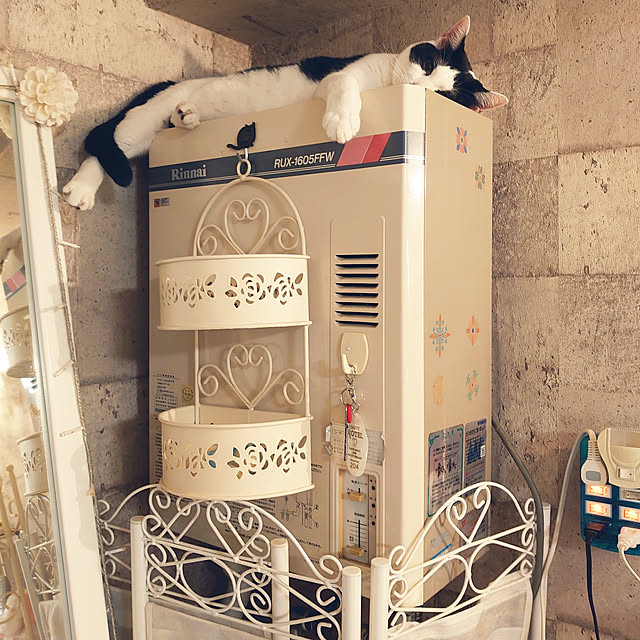 asuminさんの実例写真