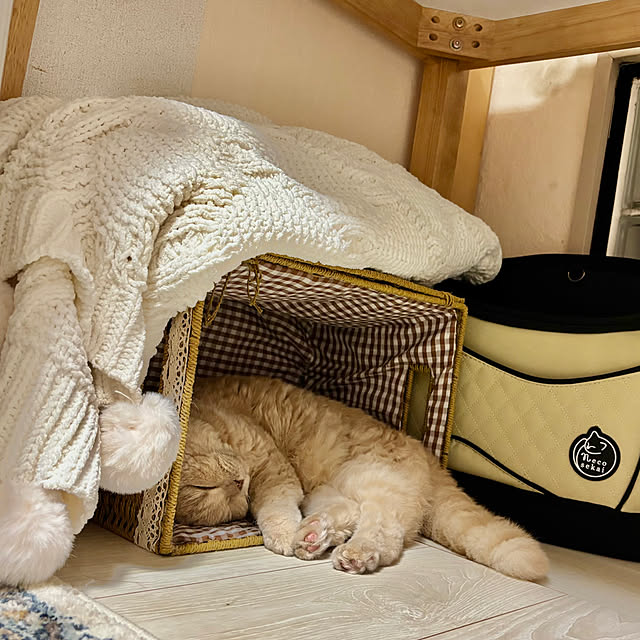 naokoさんの実例写真