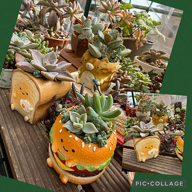 Aqettyさんの部屋